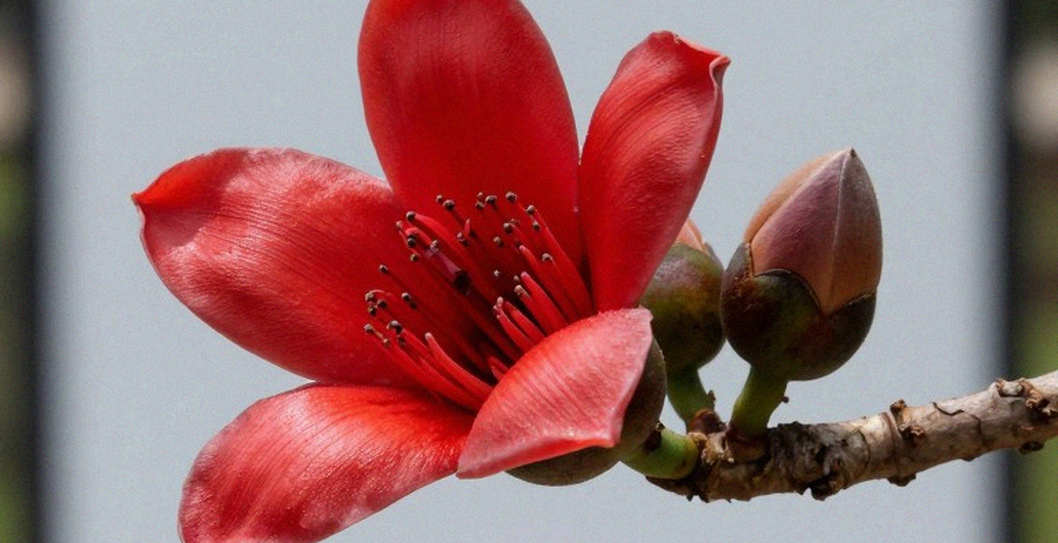 ঘড়ি নীরব, পদক কথা বলে: এশিয়ান গেমস ২০২৬-এর ষষ্ঠ দিনে ভারতের অ্যাথলেটিক্স লেজার আর একটি হারানো সংখ্যা