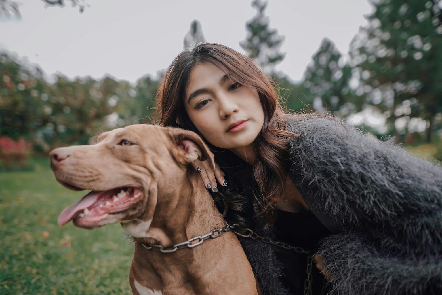 Makna Mimpi Dikejar Anjing Menurut Kepercayaan Leluhur