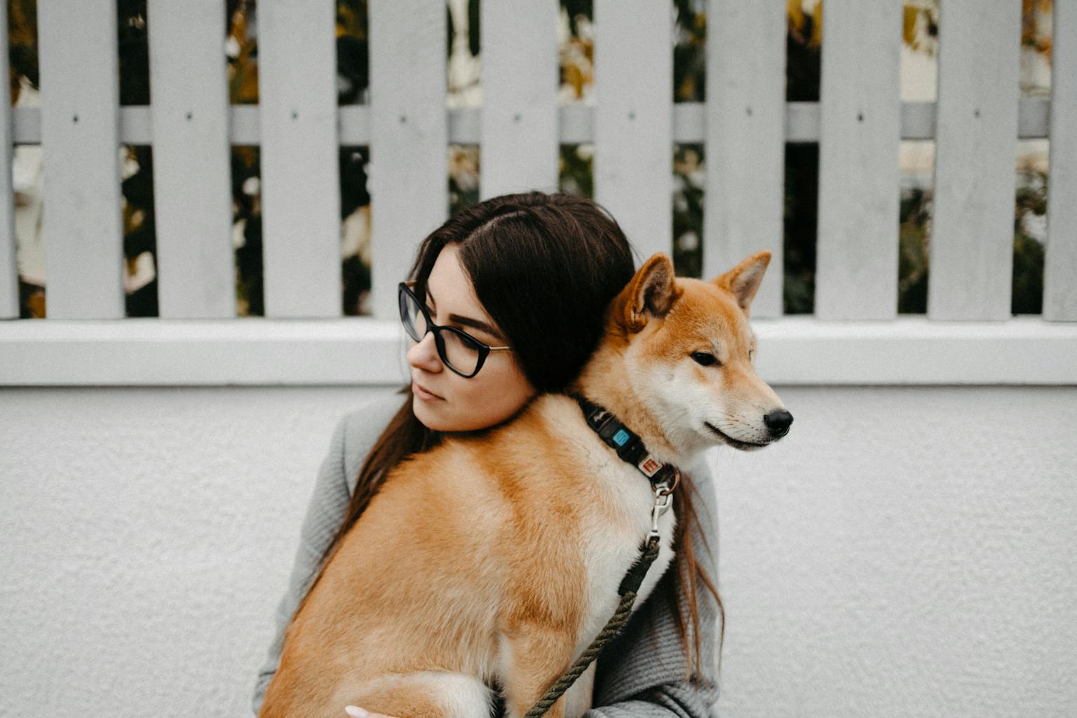 Makna Mimpi Dikejar Anjing Menurut Kepercayaan Leluhur