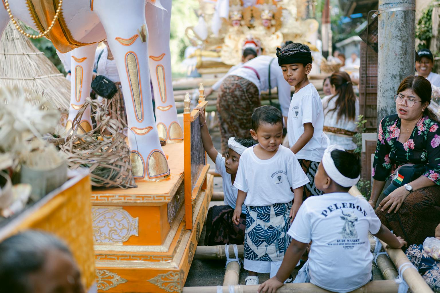 Tradisi Karapan Sapi Madura yang Kaya Budaya Lokal