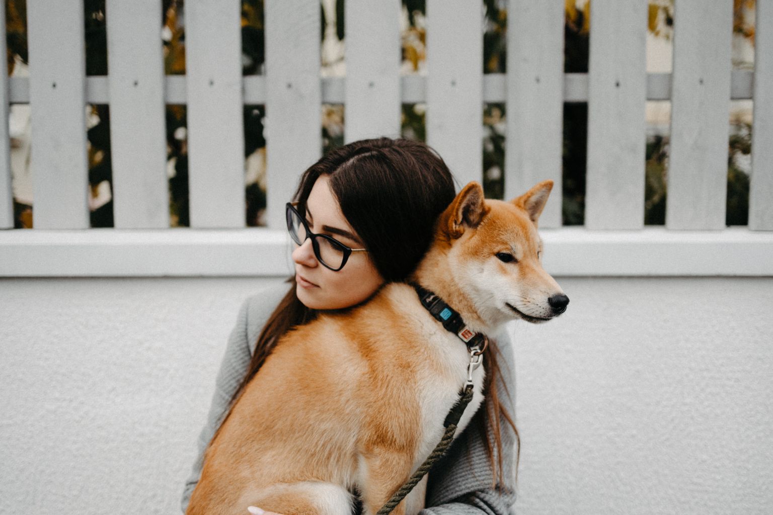 Makna Mimpi Dikejar Anjing Menurut Kepercayaan Leluhur