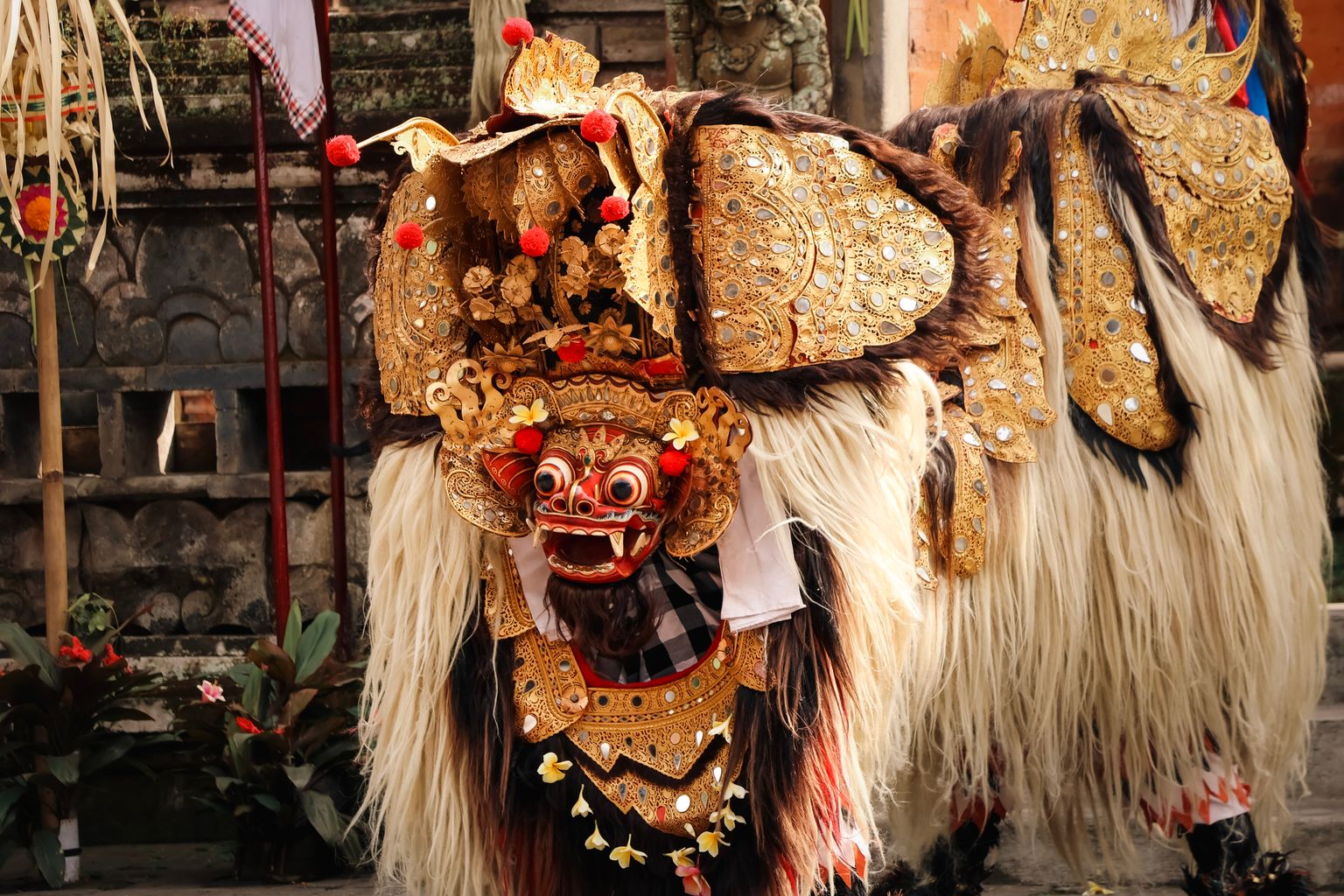 Tradisi Metatah atau Potong Gigi di Bali dan Maknanya